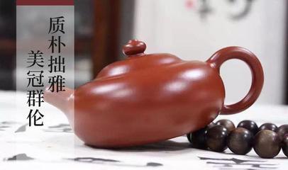 到底什么是紫砂?為什么如此受歡迎?
