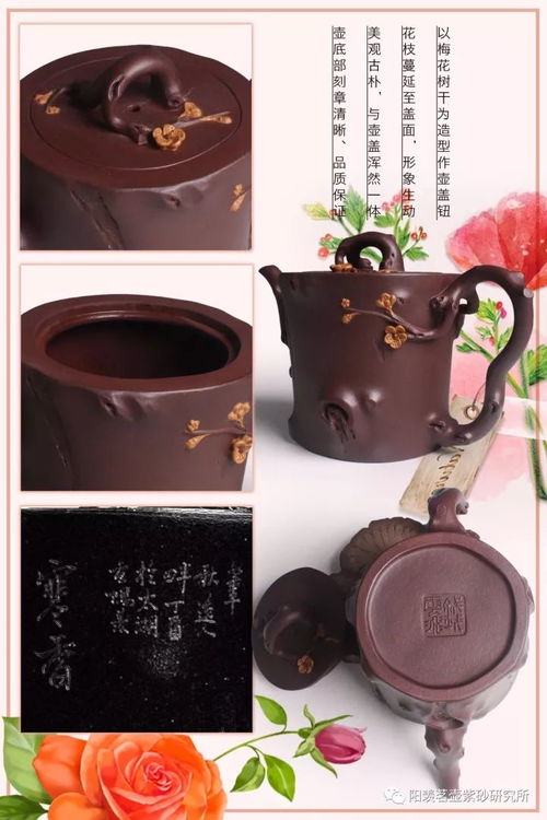 每日一福 壺 寒香